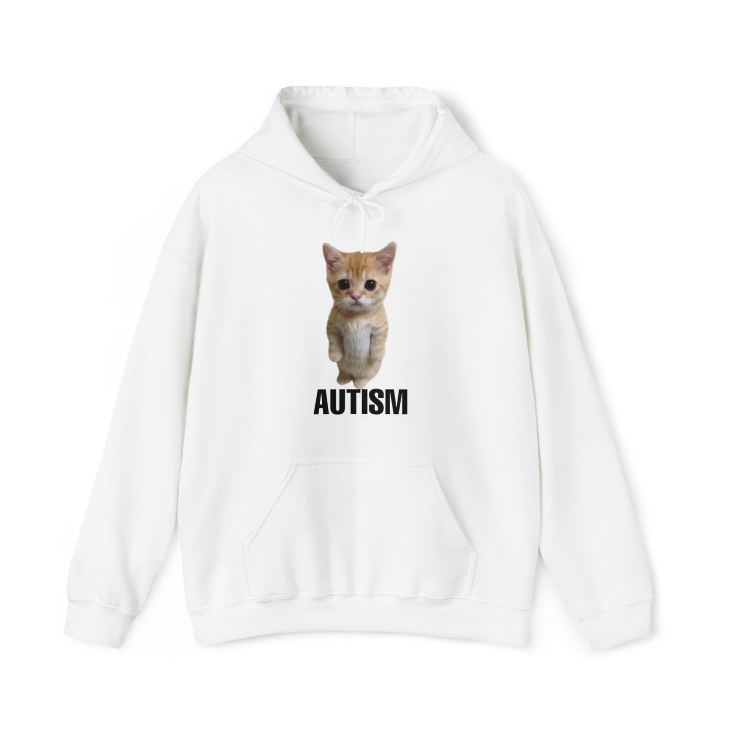 Autism Cat Hoodie