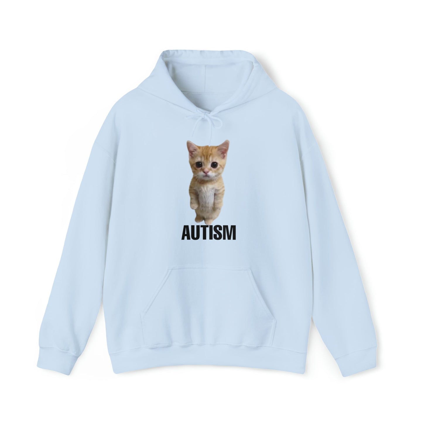Autism Cat Hoodie