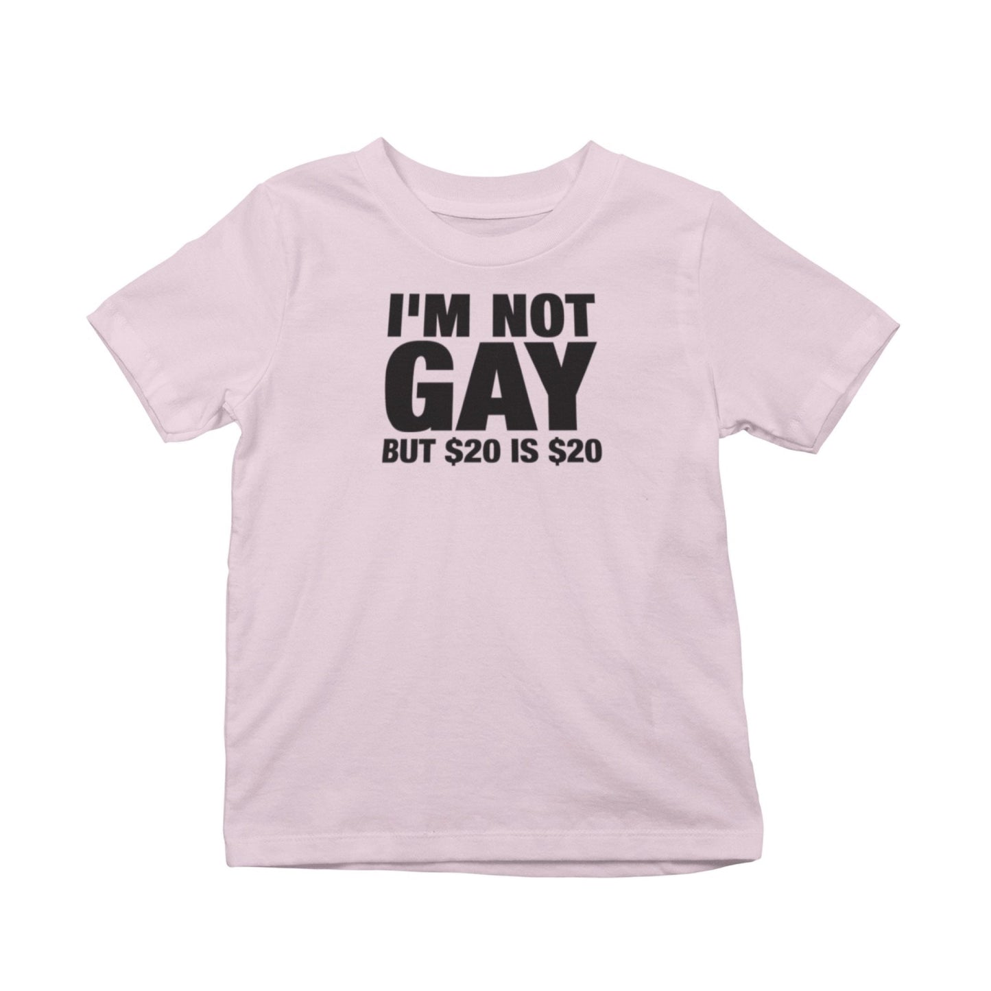 I'm Not Gay But $20 Is $20 T-Shirt