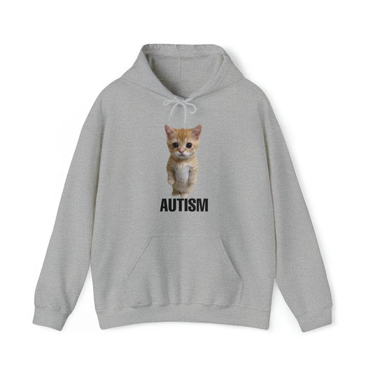 Autism Cat Hoodie